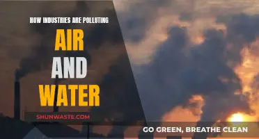 Unveiling Industrial Pollution: Air and Water Under Siege