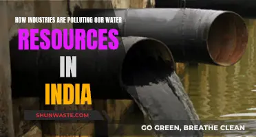 India's Water Crisis: Industrial Pollution's Devastating Impact