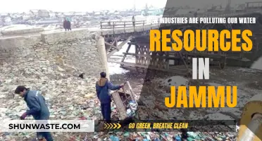 Jammu's Water Crisis: Industrial Pollution's Devastating Impact