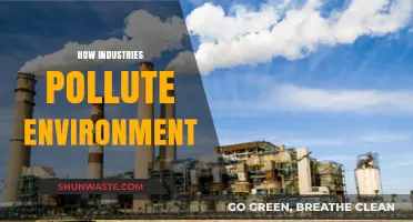 Industries' Pollution: Impacting Our Environment and Health