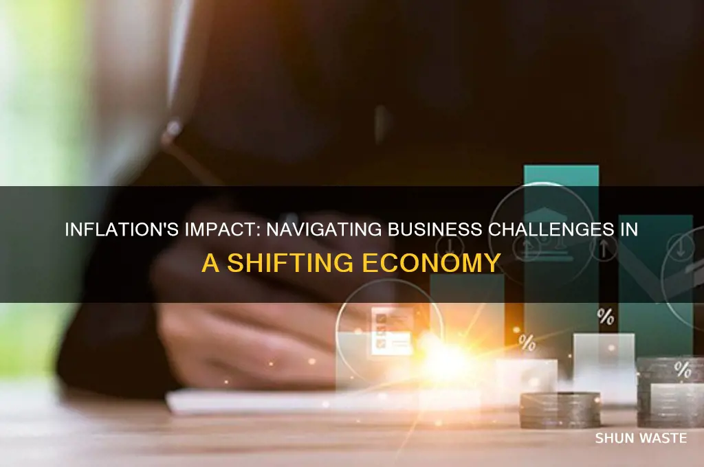 how inflation affects business environment