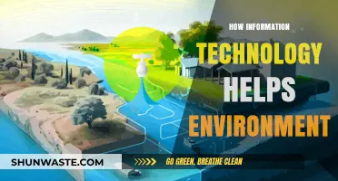 Sustainable Tech: How Information Technology Protects Our Environment