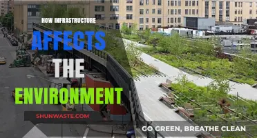 Infrastructure's Environmental Impact: Balancing Development and Sustainability