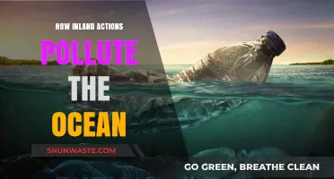 Inland Actions: Ocean Pollution's Unseen Source