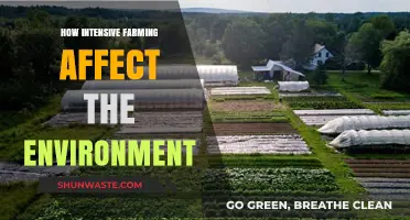 Intensive Farming's Environmental Impact: Soil, Water, and Biodiversity at Risk