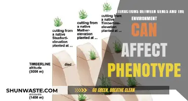Gene-Environment Interactions: Unraveling the Complex Drivers of Phenotypic Variation