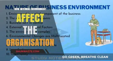 Internal Environment's Impact: Shaping Organizational Culture, Performance, and Success