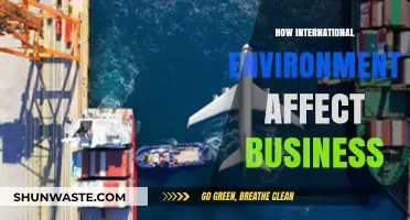 Global Shifts: How International Environments Reshape Business Strategies and Outcomes