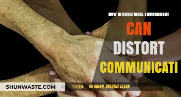 Cultural Barriers: How Global Environments Distort Communication and Misunderstanding