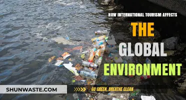 Global Tourism's Environmental Impact: Challenges and Sustainable Solutions