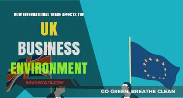 Global Trade Dynamics: Shaping the UK's Business Landscape and Economy