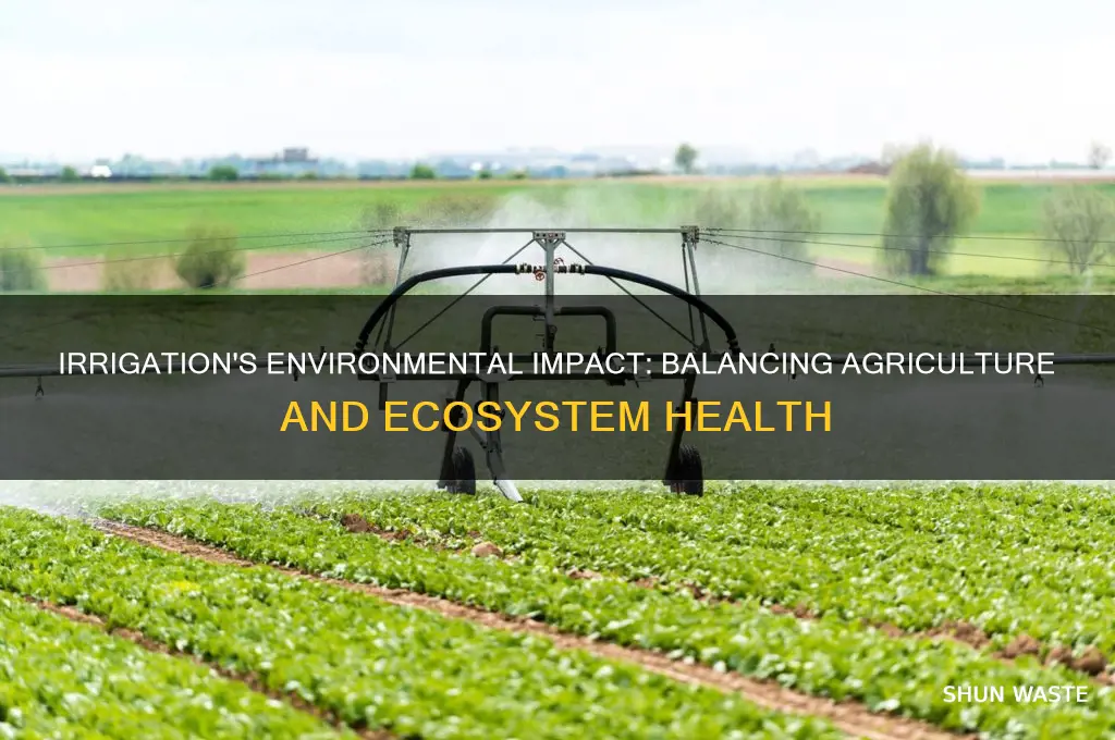 how irrigation affects the environment