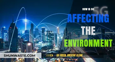 Environmental Impact of 5G: Sustainability Concerns and Green Tech Solutions