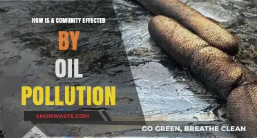 Oil Pollution's Impact: A Community's Story