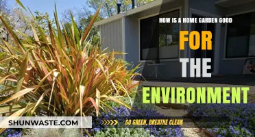 Home Gardens: Eco-Friendly Benefits for a Greener, Healthier Planet