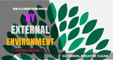 External Forces Shaping Organizations: Navigating Environmental Impacts and Adaptations