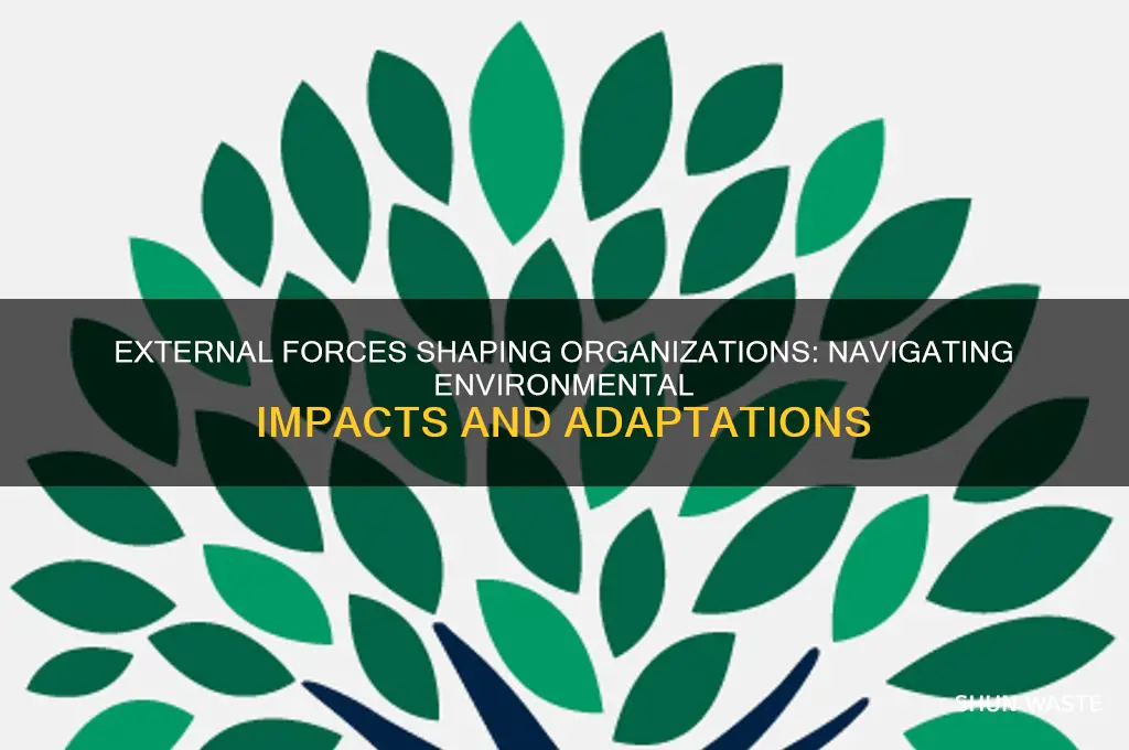 how is a organzation affects by external environment