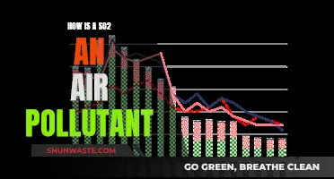 SO2's Impact: A Dangerous Air Pollutant