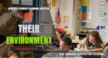 Environment's Impact: Shaping Student Learning and Academic Success