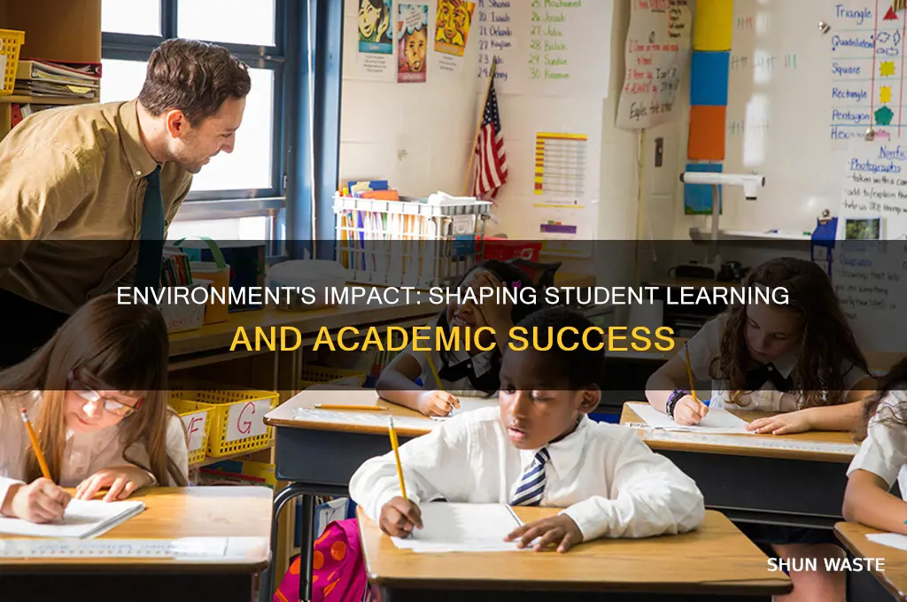 how is a students learning affected by their environment