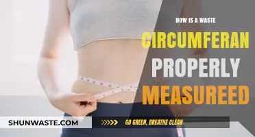 Mastering Waste Circumference Measurement: Accurate Techniques and Best Practices