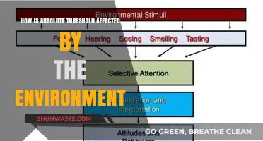 Environmental Factors Shaping Absolute Threshold Sensitivity and Perception