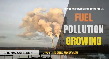 Acid Deposition: Fossil Fuel Pollution's Growing Threat