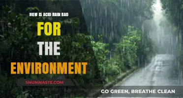 Acid Rain's Devastating Impact: Harming Ecosystems, Water, and Soil Health