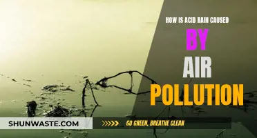 Air Pollution's Impact: Acid Rain Formation