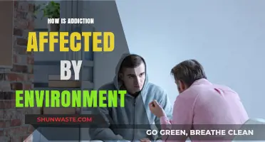Environment's Impact: How Surroundings Shape Addiction and Recovery