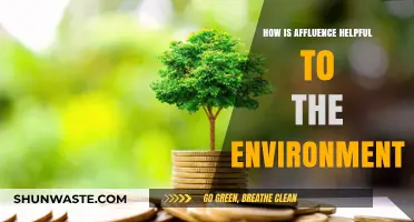 Affluence and Eco-Progress: How Wealth Can Foster Environmental Sustainability