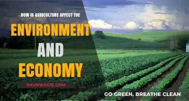 Agriculture's Impact: Environmental Changes and Economic Shifts Explored