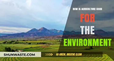 Sustainable Farming: How Agriculture Benefits Our Environment and Future