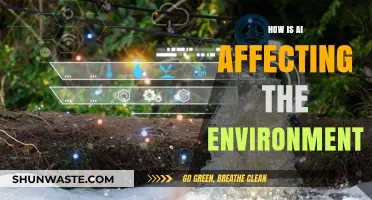 AI's Environmental Impact: Sustainable Solutions or Ecological Challenge?