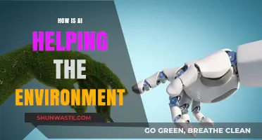 AI's Green Revolution: Transforming Environmental Conservation and Sustainability