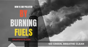 Air Pollution: Burning Fuels, Harmful Effects