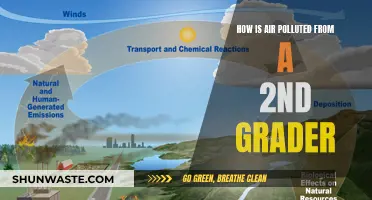 Air Pollution: What's in the Air We Breathe?