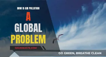 Air Pollution: A Global Crisis