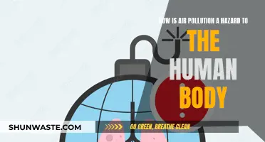 Air Pollution: A Silent Killer Threatening Human Health