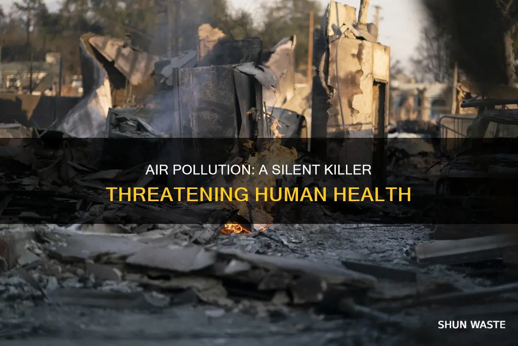 how is air pollution a hazard to the human body
