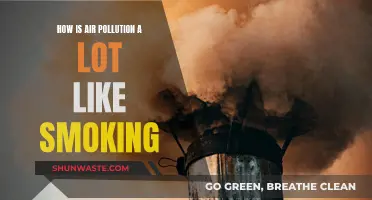 Air Pollution: The Silent, Deadly Cigarette