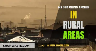 Air Pollution: A Silent Killer in Rural Areas