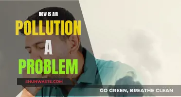 Air Pollution: A Deadly Crisis