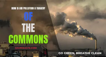 Air Pollution: Our Common Tragedy