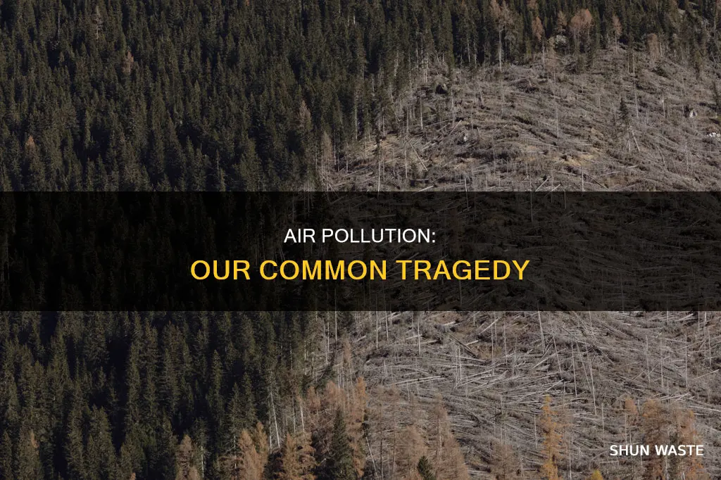 how is air pollution a tragedy of the commons