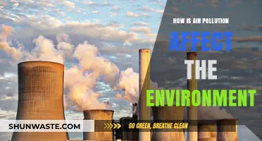 Air Pollution's Devastating Impact on Our Environment and Ecosystems