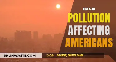 Air Pollution's Impact on Americans: A Health Crisis