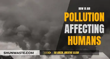 Air Pollution: A Slow Poison for Humans