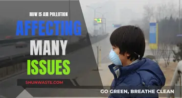 Air Pollution: A Multifaceted Crisis Affecting Our World