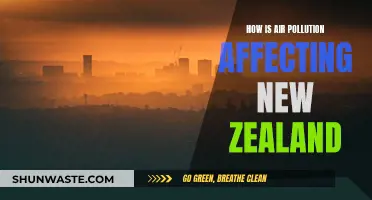 Air Pollution's Impact on New Zealand's Environment